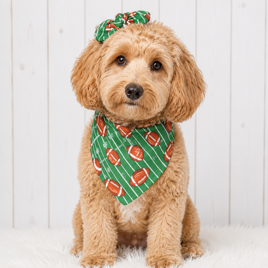 Football Dog Bandana