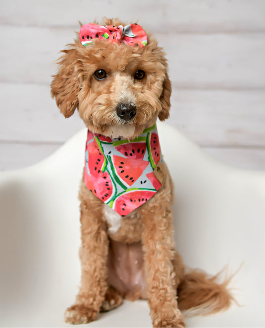 Watermelon Dog Bandana