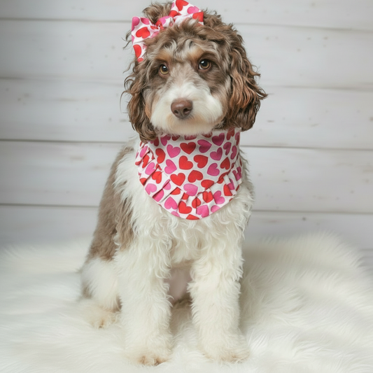 Valentine Hearts Ruffles Dog Bandana