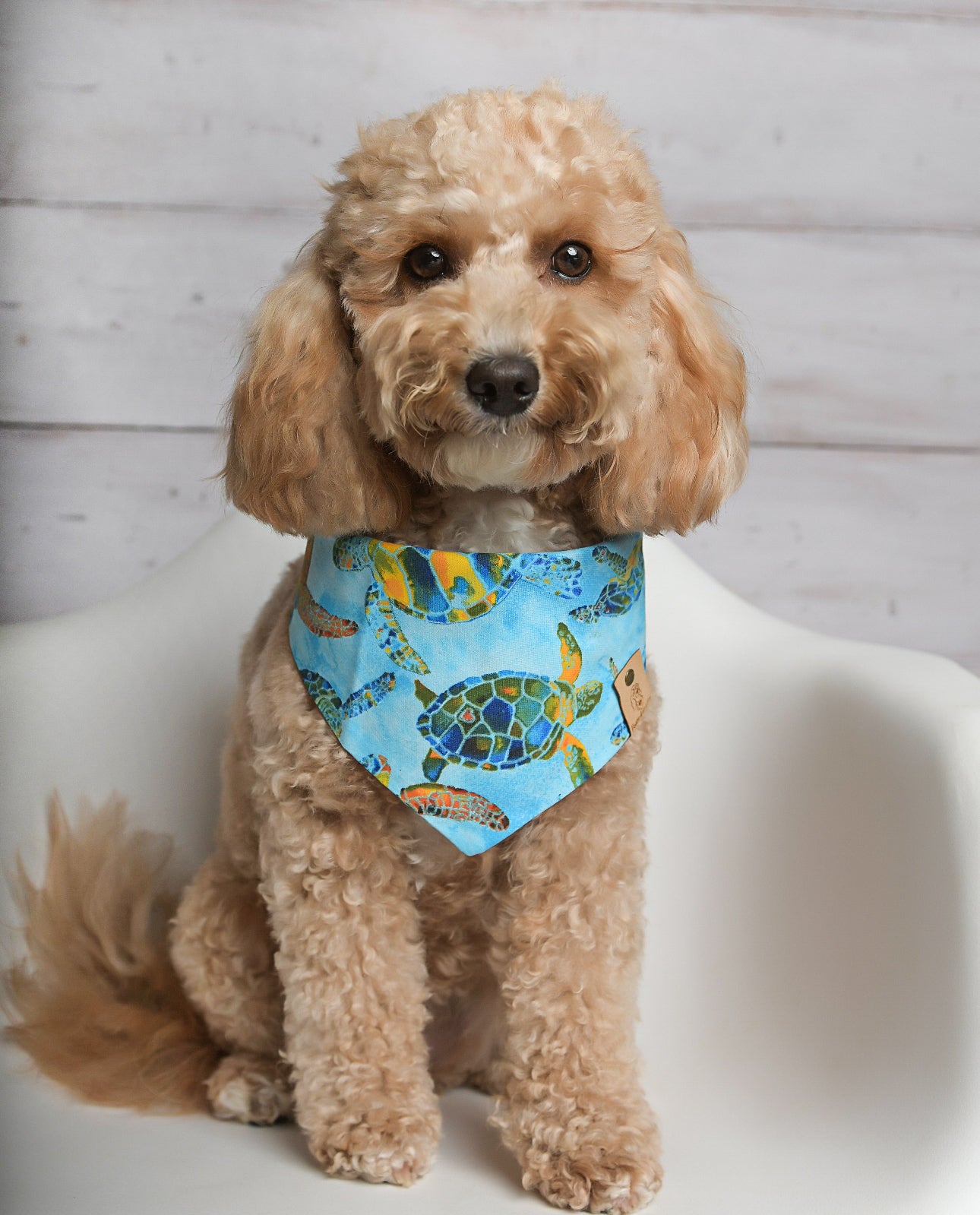 Sea Turtle Dog Bandana