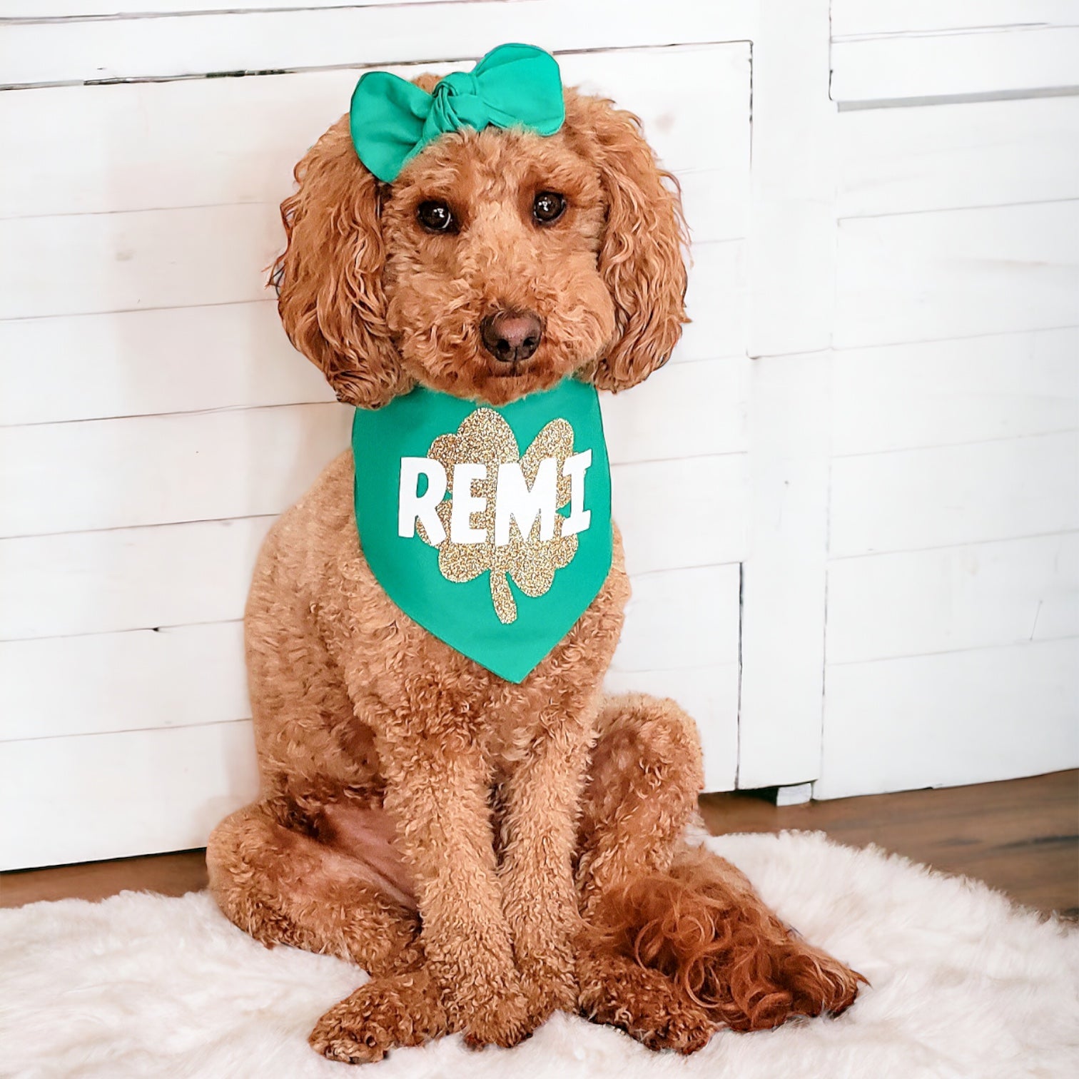 Handmade Irish St. Patrick's Day Dog Bandana – Slide-on Collar Style, Green & White Cotton, Sizes Small To XL