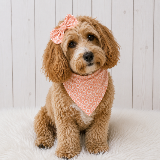 Peach Blossom Dog Bandana