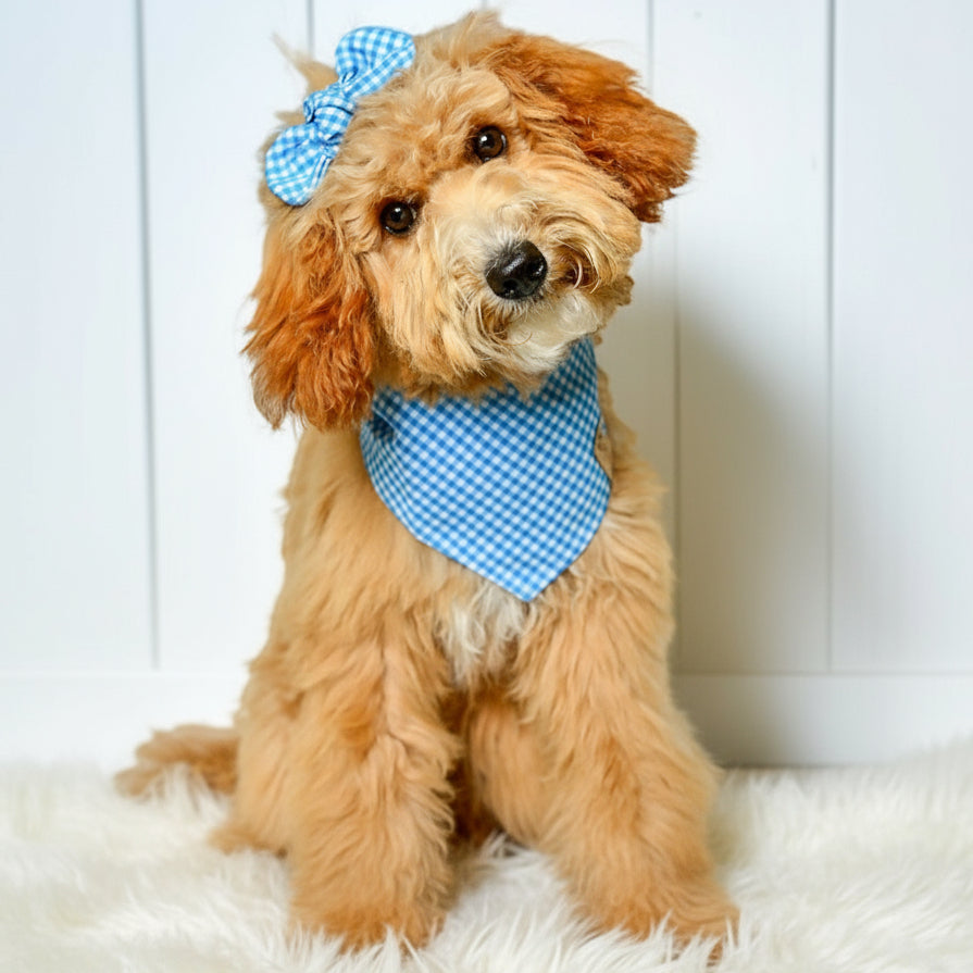 Blue Gingham Dog Bandana
