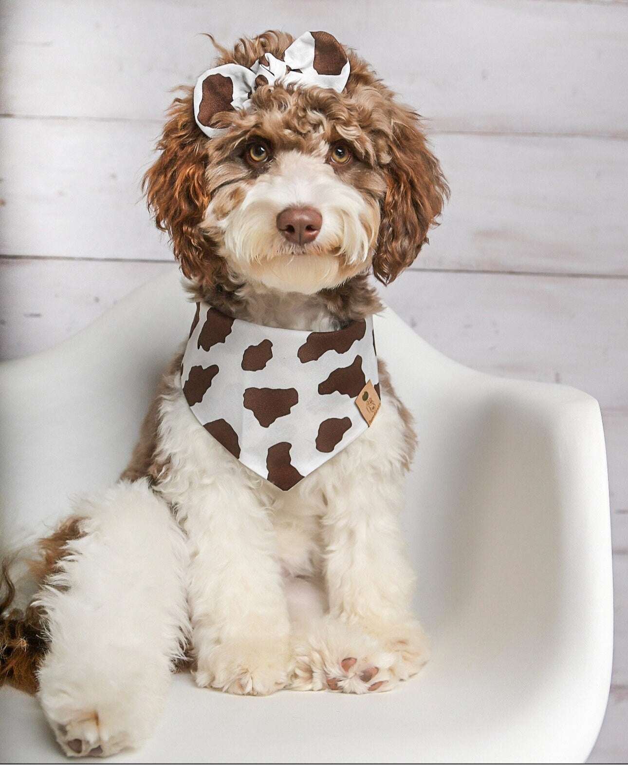 Brown Cow Dog Bandana
