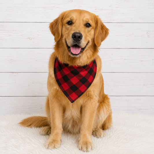 Red Buffalo Dog Bandana