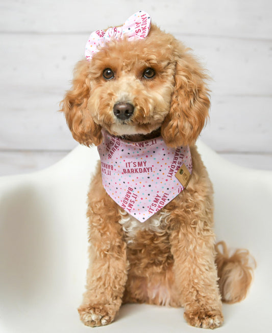 It's My Bark Day Pink Dog Bandana
