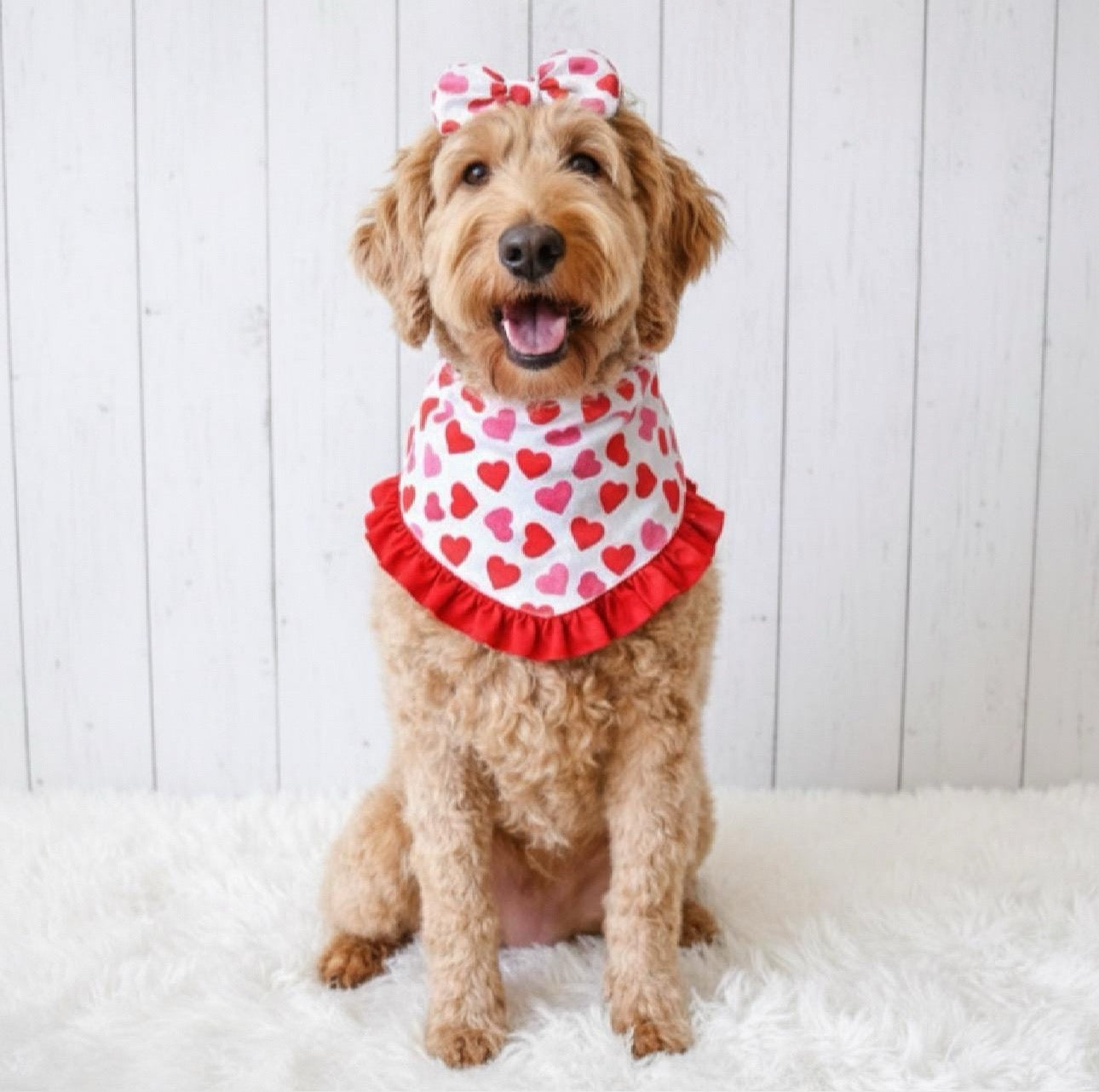 Valentine Hearts Red Ruffles Dog Bandana