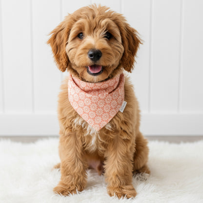 Peach Blossom Dog Bandana