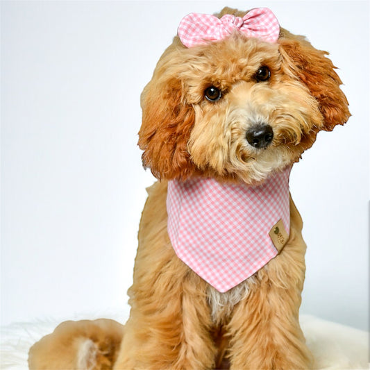 Blush Gingham Dog Bandana