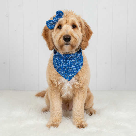 Classic Paisley Dog Bandana – Royal Blue