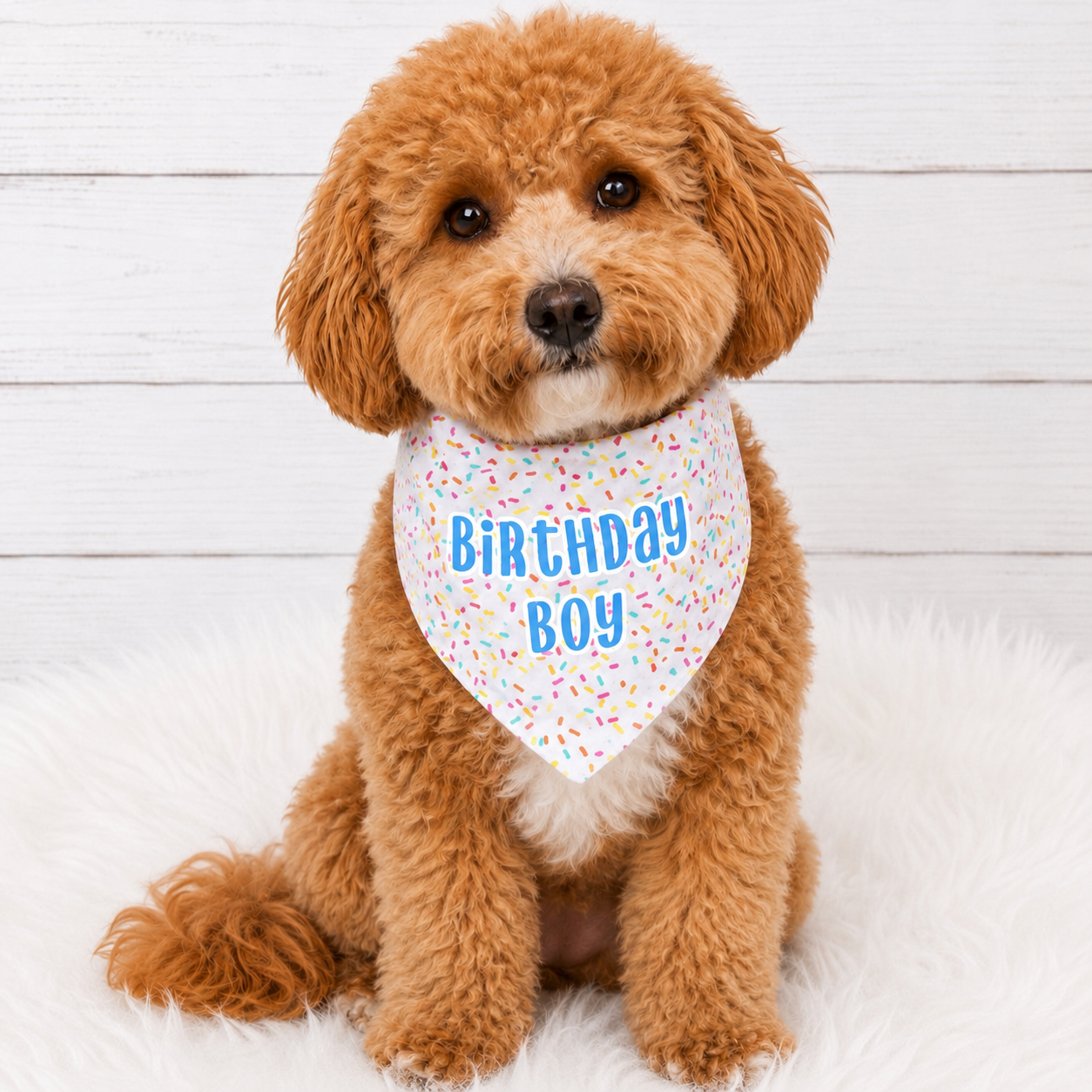 Birthday Dog Bandana - Boy