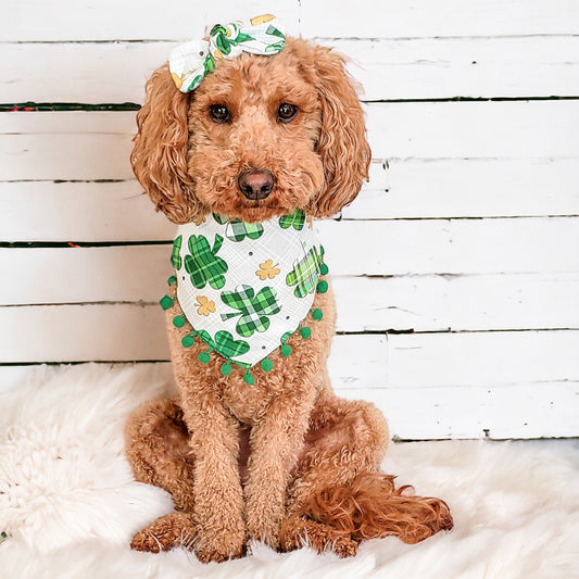 St. Patrick Clover with Pom Pom Dog Bandana