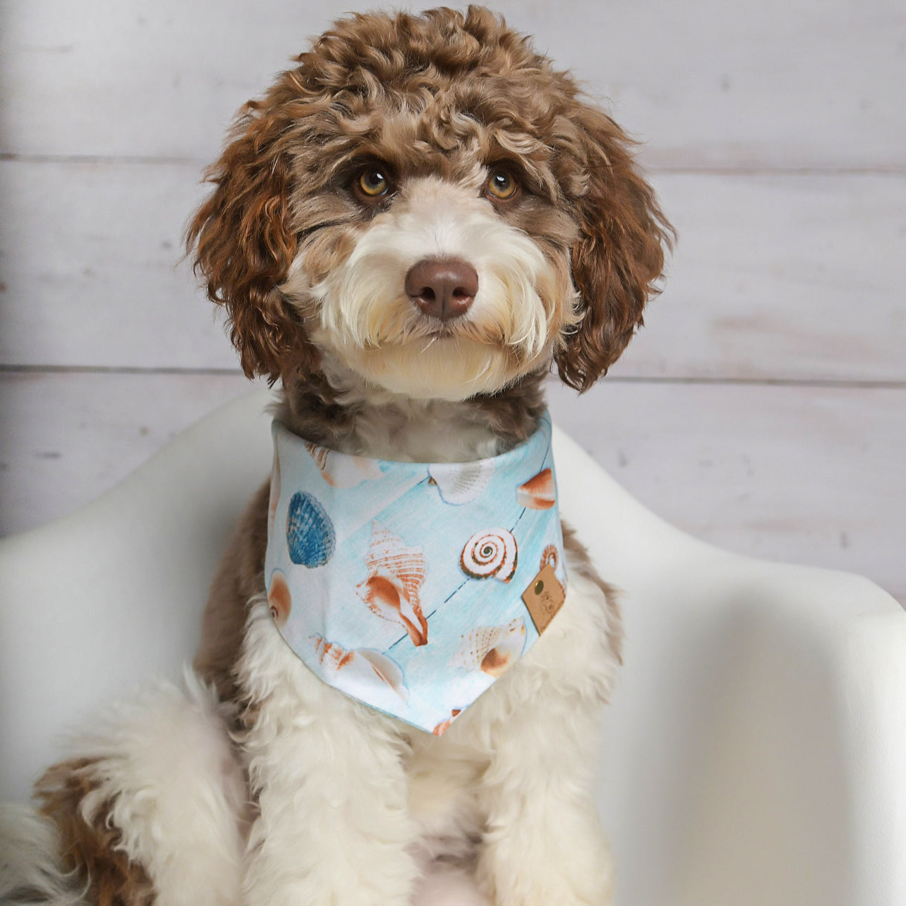 Seashells Dog Bandana