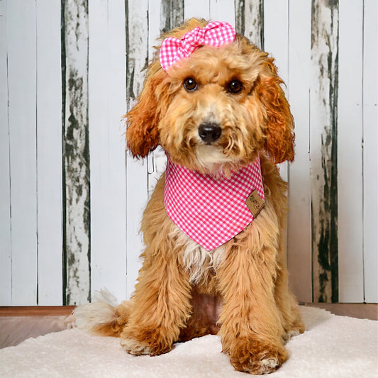 Bubblegum Gingham Dog Bandana