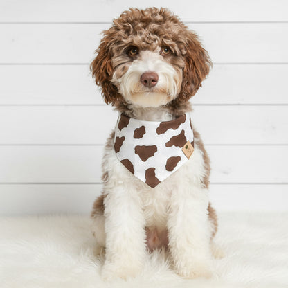 Brown Cow Dog Bandana