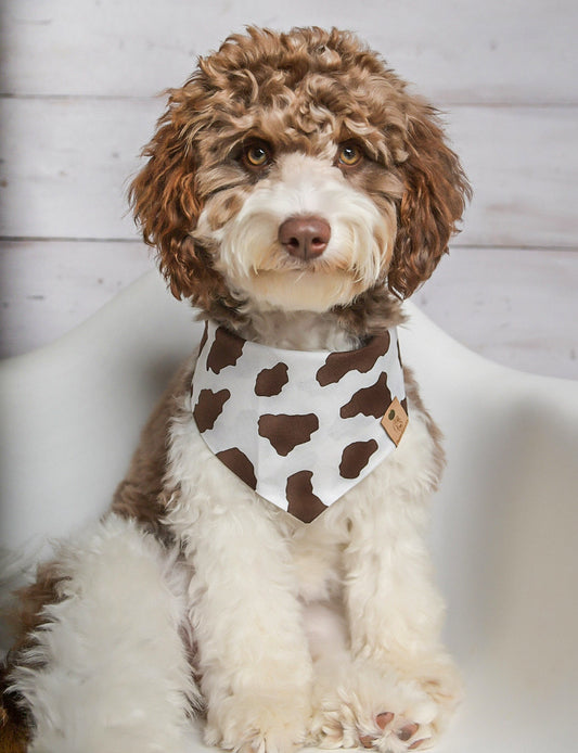 Brown Cow Dog Bandana