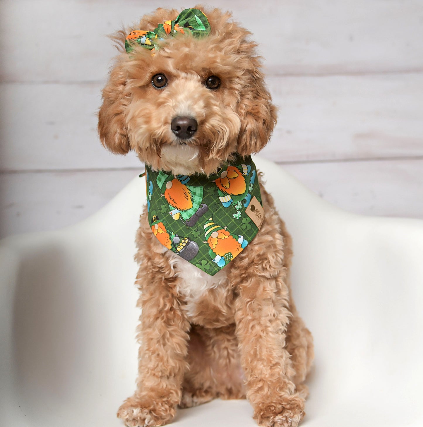 St. Patrick Gnomes Dog Bandana