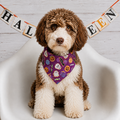 Halloween Cookie Treat Dog Bandana