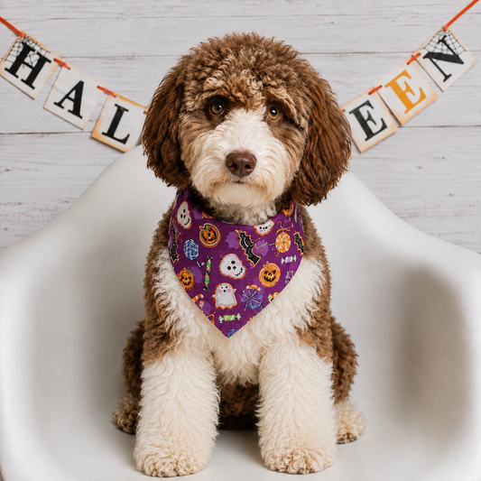 Halloween Cookie Treat Dog Bandana
