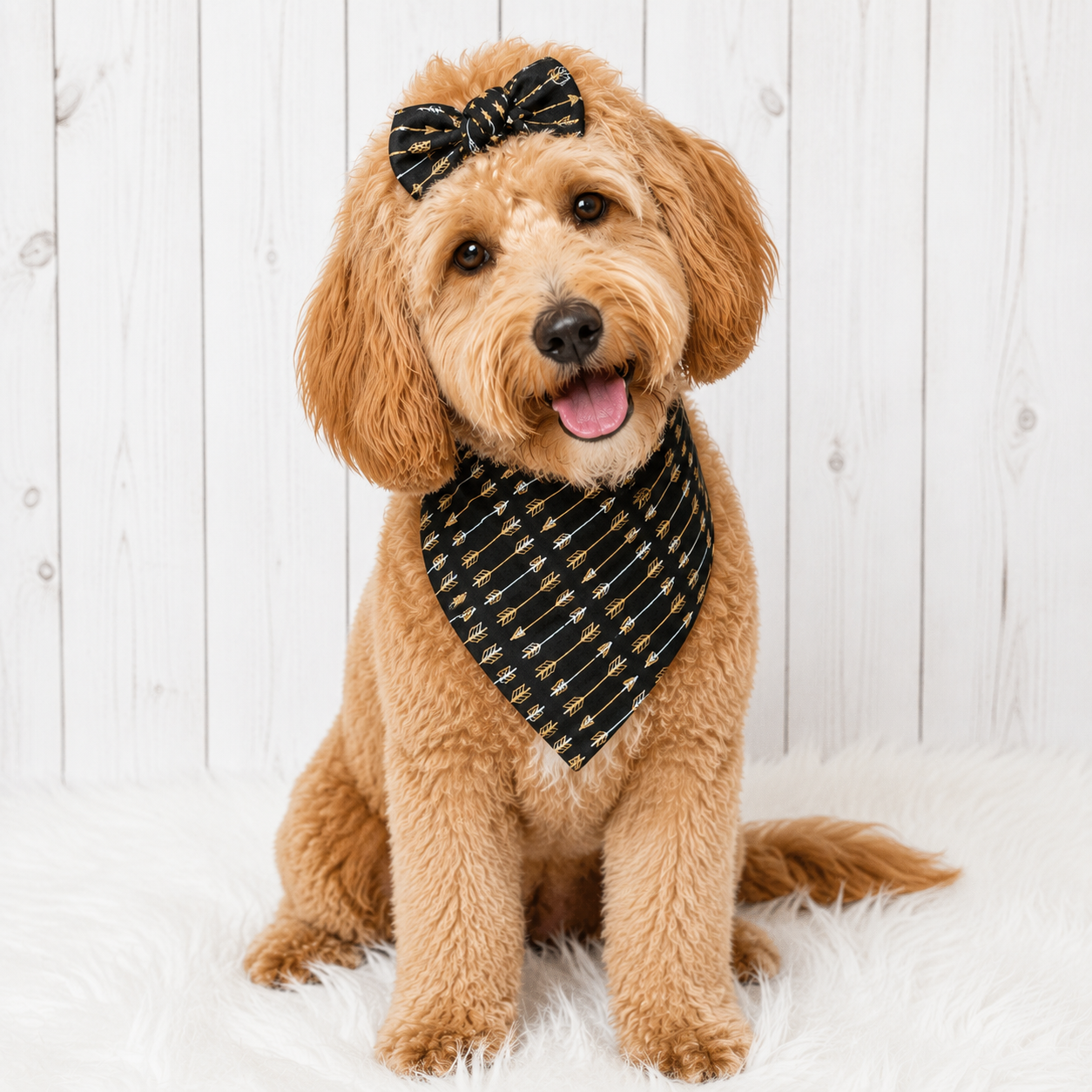 Black Arrows Dog Bandana