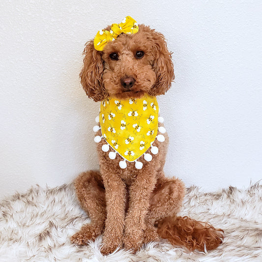 Small dog wearing bee print dog bandana with yellow pom poms – handmade and stylish pet accessory