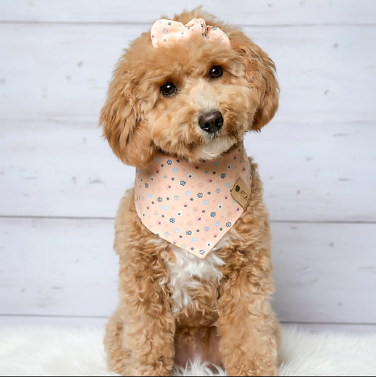 Peachy Paws Dog Bandana