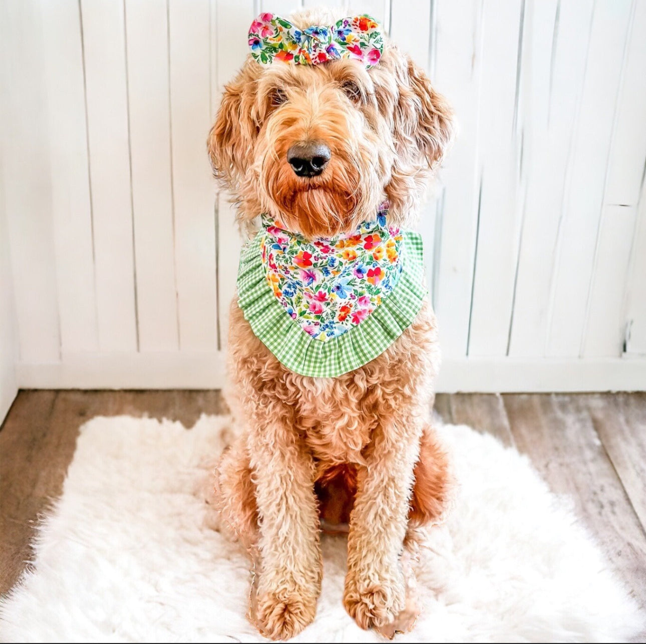 Floral Ruffle Dog Bandana