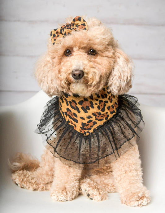 Leopard with Ruffles Dog Bandana