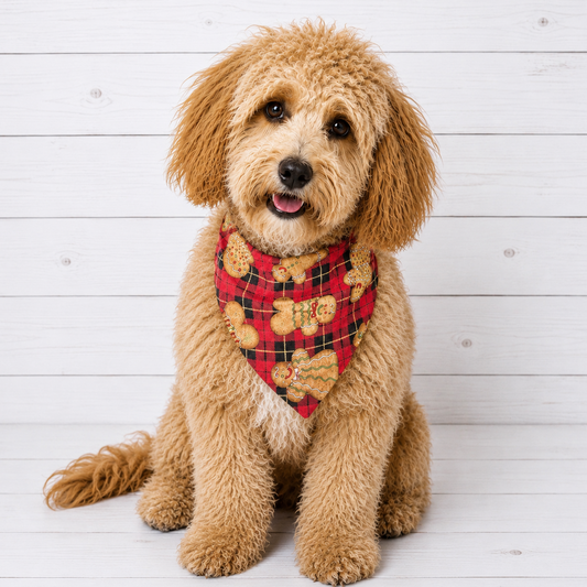 Gingerbread Plaid Dog Bandana