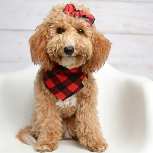 Red Buffalo Dog Bandana