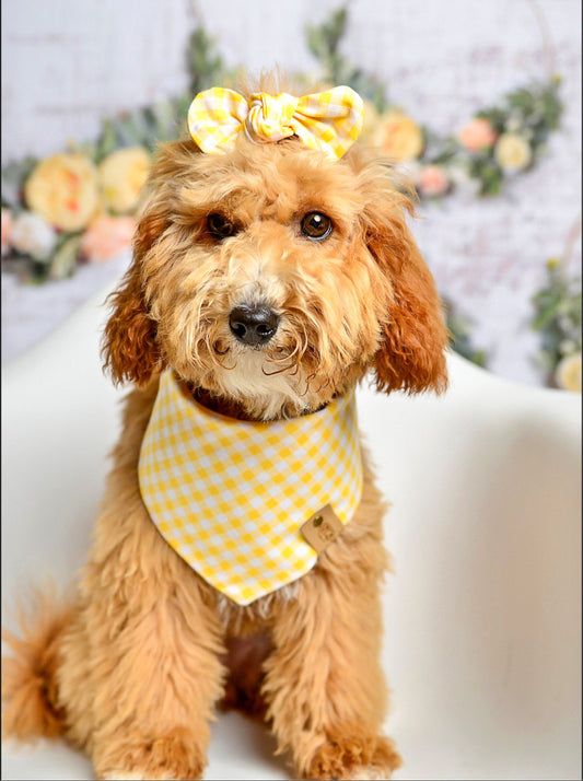 Yellow Gingham Dog Bandana