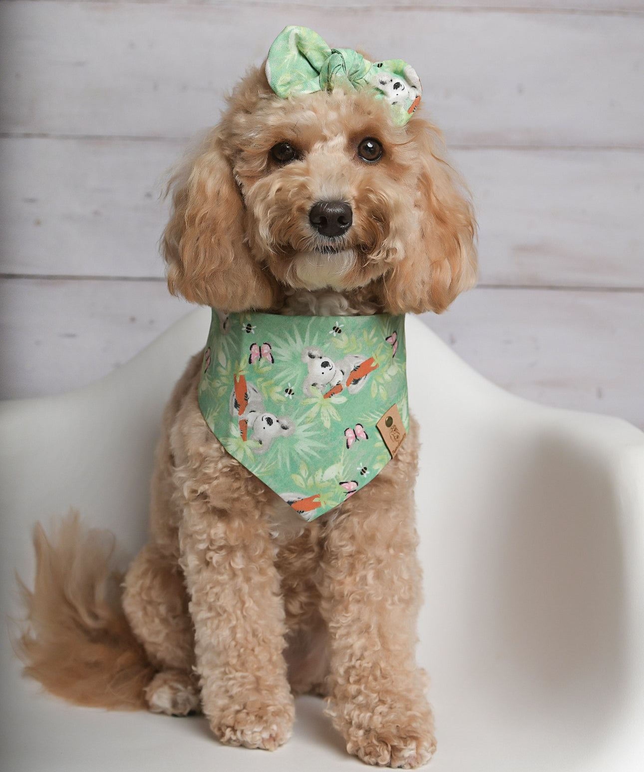 Koala Dog Bandana