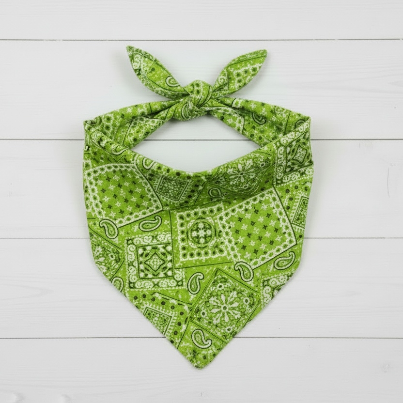 Classic Paisley Dog Bandana – Lime