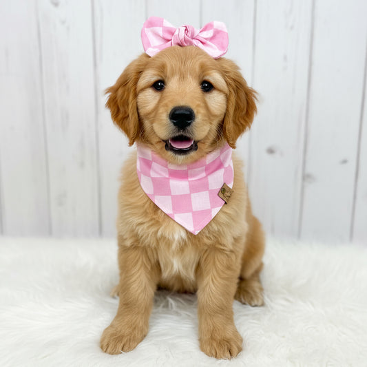 Pink Checkmate Dog Bandana