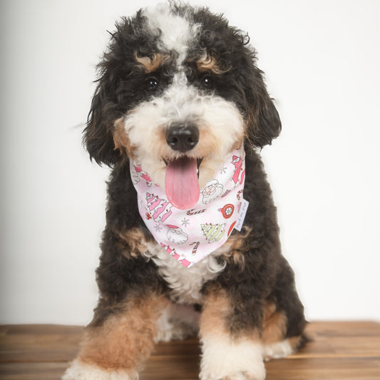 Pink Retro Christmas Dog Bandana