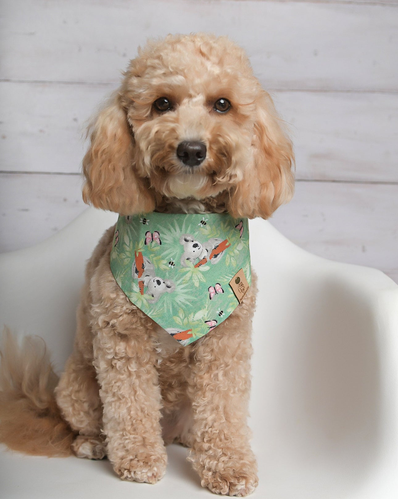 Koala Dog Bandana