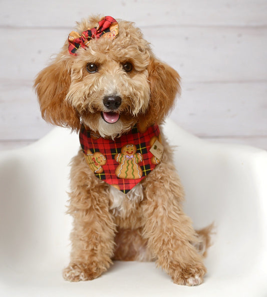 Gingerbread Plaid Dog Bandana