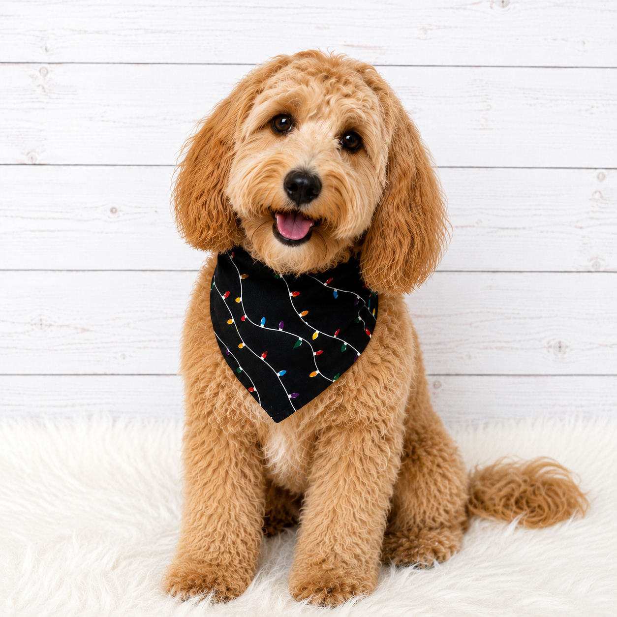 Christmas Lights Black Dog Bandana