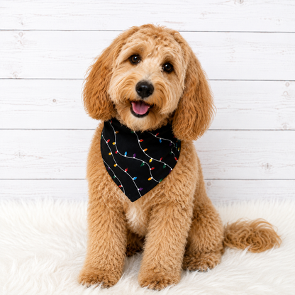 Christmas Lights Black Dog Bandana