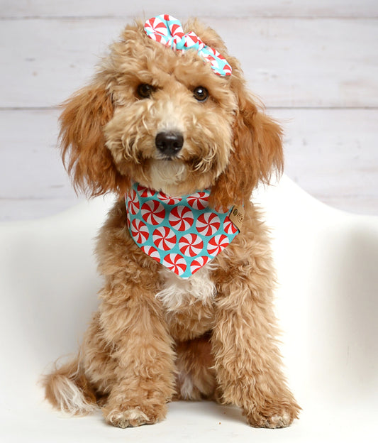 Peppermint Teal Dog Bandana