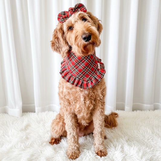 Red Plaid Ruffle Dog Bandana