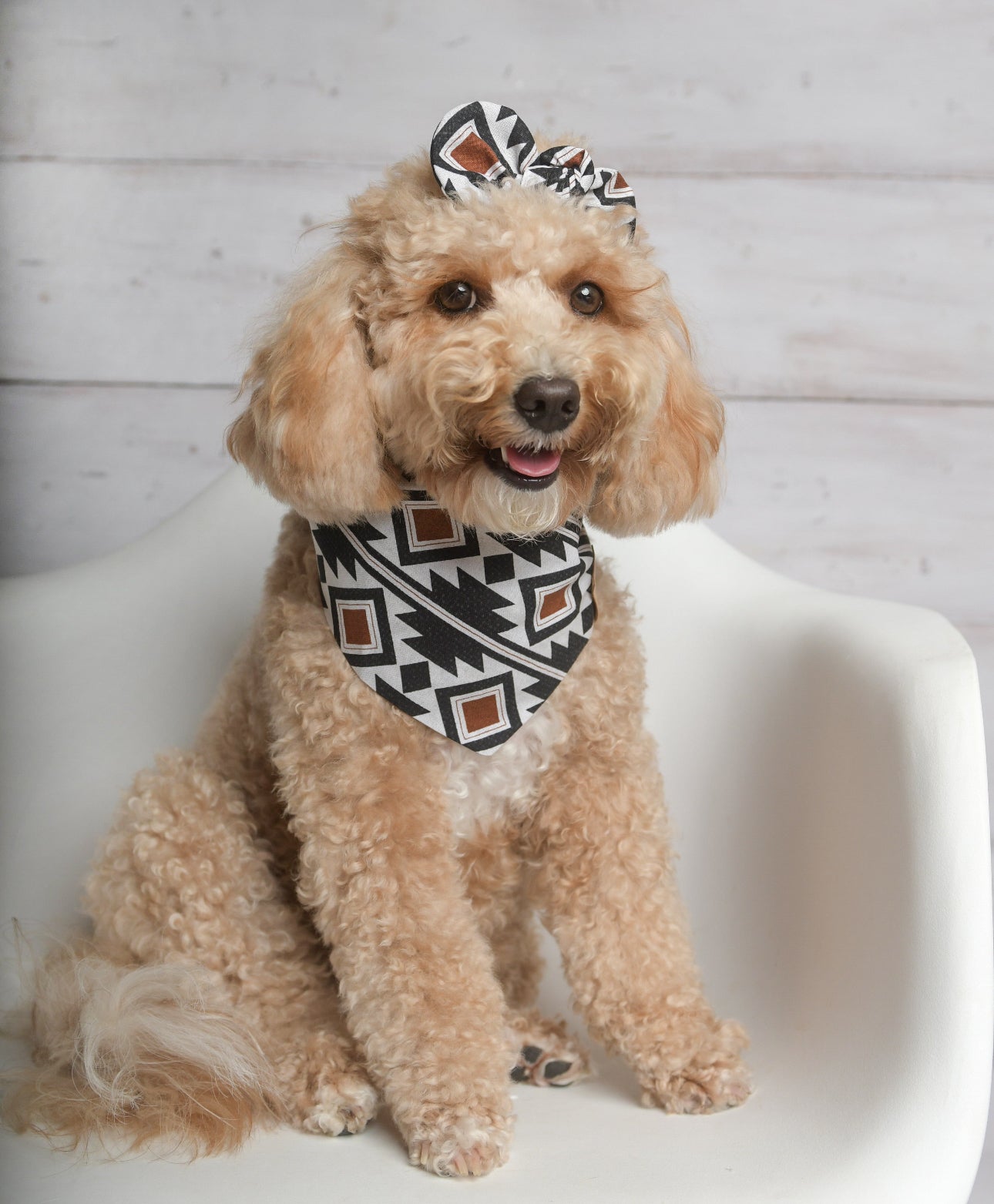 Boho Rust Aztec Dog Bandana