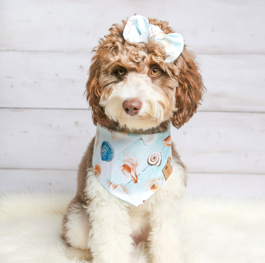 Seashells Dog Bandana