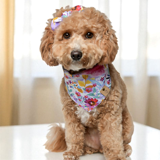 Maui Dog Bandana