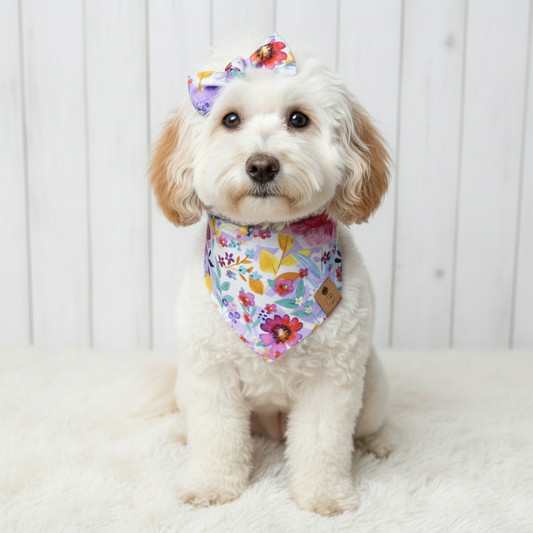 Maui Dog Bandana