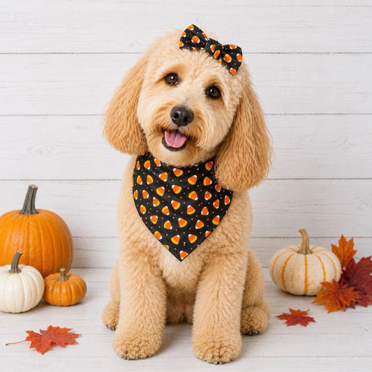 Halloween Candy Corn Dog Bandana