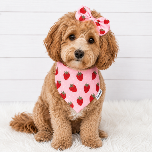 Strawberry Dog Bandana