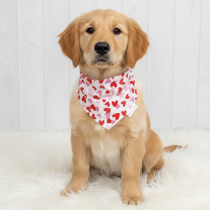 Hearts Valentine’s Day Dog Bandana