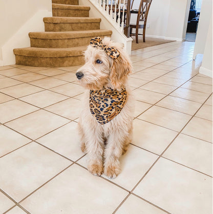 Leopard Dog Bandana
