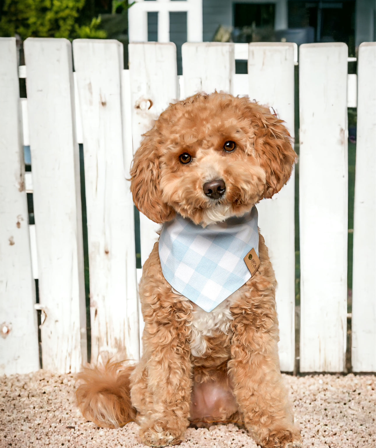 Light Blue Buffalo Plaid Dog Bandana